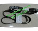 Dây đai tổng Nissan NAVARA