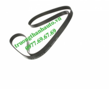 Dây đai tổng Toyota Camry LE